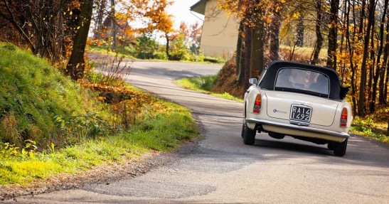 Rajd Żubrów 2012